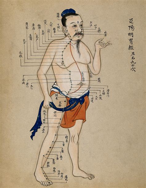 Médecine Chinoise Toulouse et Puylaurens
